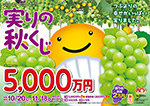 第2820回 近畿宝くじ 実りの秋くじ